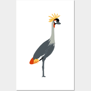 Grey Crowned Crane Posters and Art